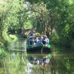 chichester canal fish and chip trips